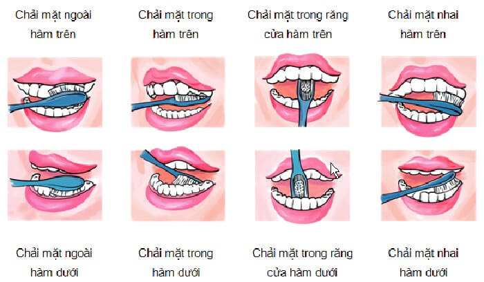 4. Lựa Chọn Bàn Chải Và Kem Đánh Răng